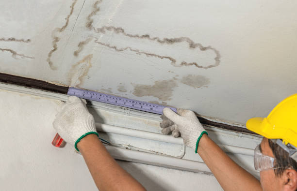 Reliable Water Damage Repair contractor in Cedar Creek, TX by Hirex Water Damage